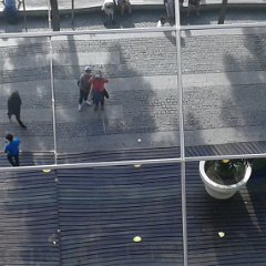 IMG 338